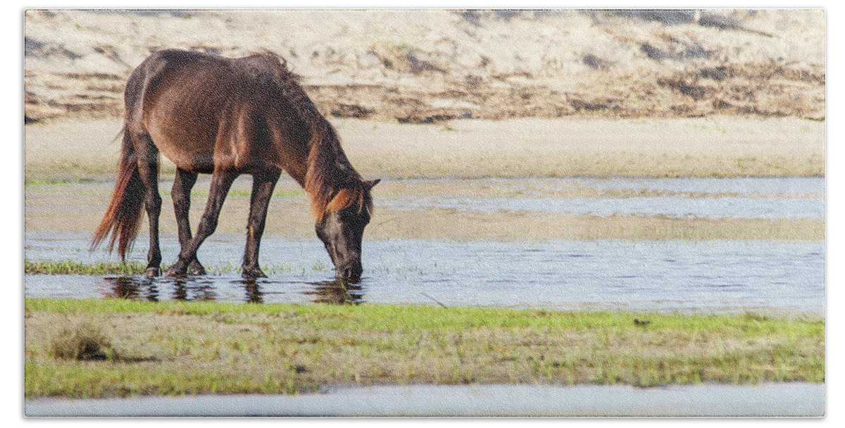 Wild Horse Bath Towel featuring the photograph Wild Mustang on Shackleford Banks by Bob Decker