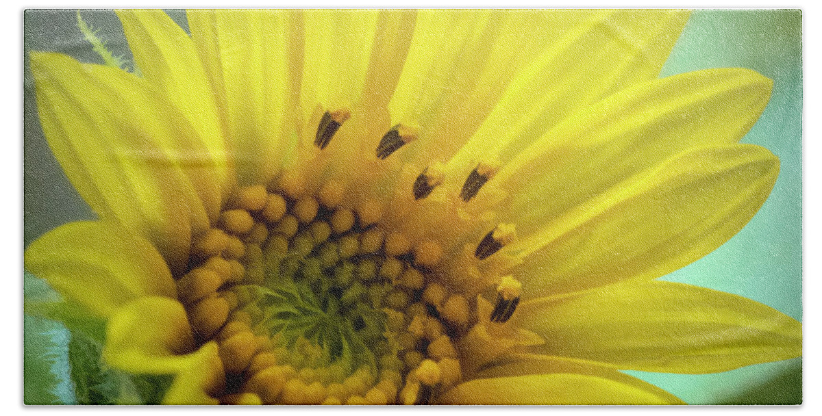 Sunflower Bath Towel featuring the photograph Wild Sunflower by Cathy Kovarik