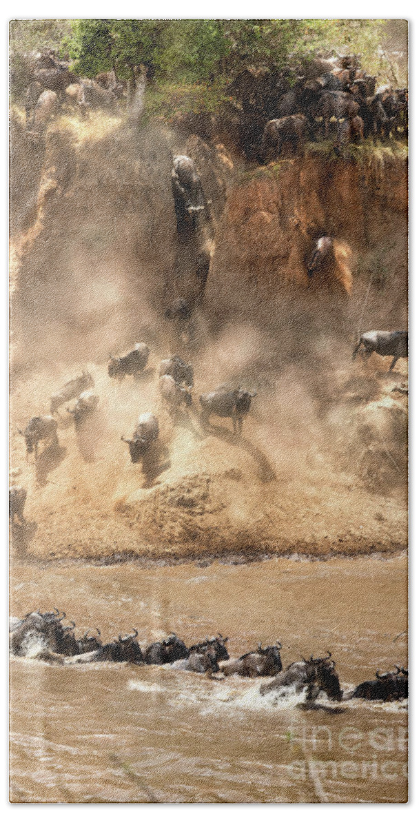 Mara Bath Towel featuring the photograph Wildebeest jump from the banks of the Mara by Jane Rix