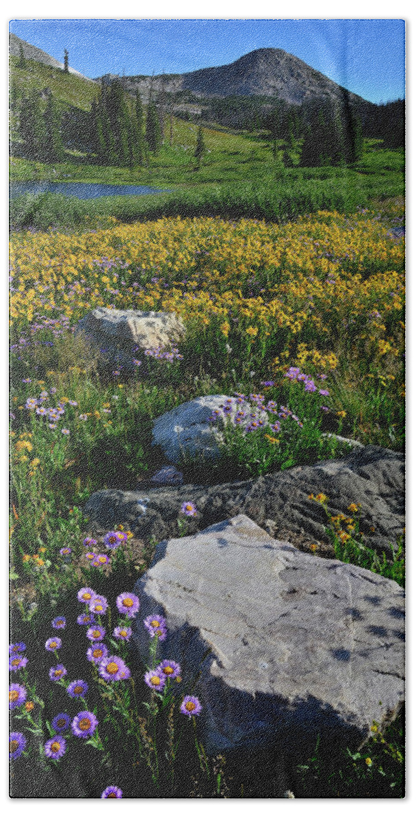 Snowy Range Mountains Hand Towel featuring the photograph Wildflowers Bloom in Snowy Range by Ray Mathis