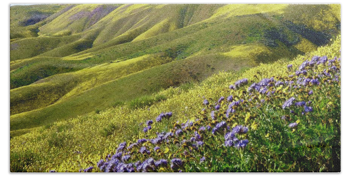 Carrizo Plain Hand Towel featuring the photograph Wildflowers Point Super Bloom by Amelia Racca