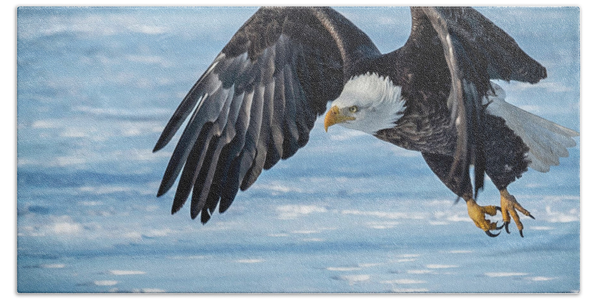 Eagle Bath Towel featuring the photograph Wingin It by Laura Hedien