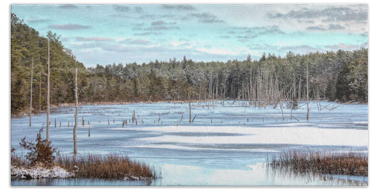 New Jersey Bath Sheet featuring the photograph Winter At Lake Oswego by Kristia Adams