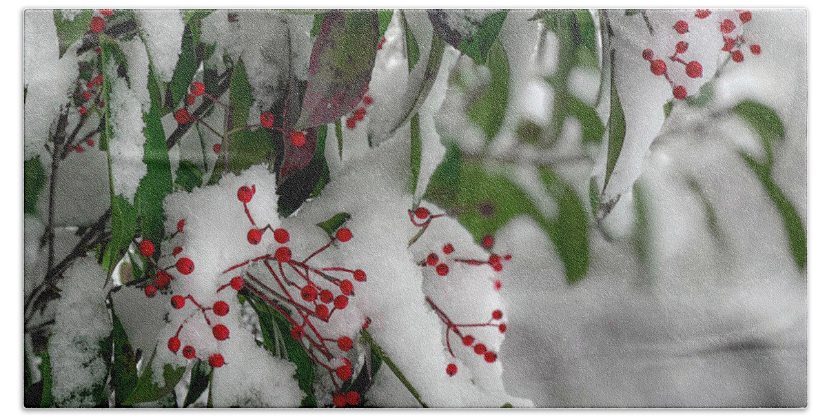 Berries Bath Towel featuring the photograph Winter Berries by Lora J Wilson