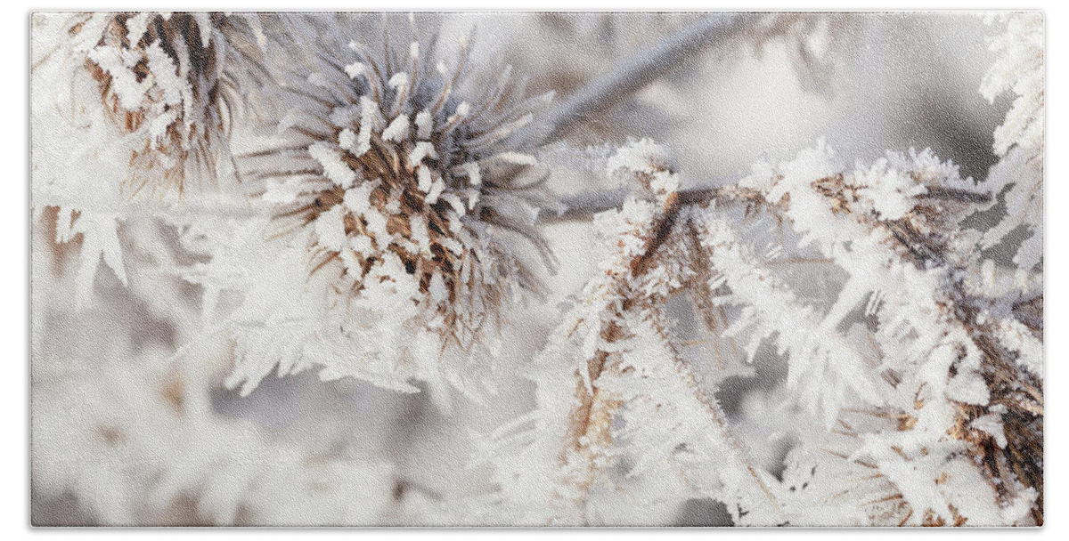 Freezing Bath Towel featuring the photograph Winter frost on a garden thistle close up by Simon Bratt