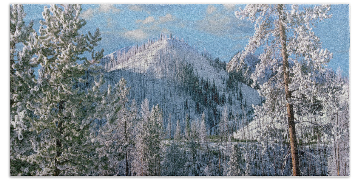 00586346 Bath Towel featuring the photograph Winter In Yellowstone National Park, Wyoming by Tim Fitzharris