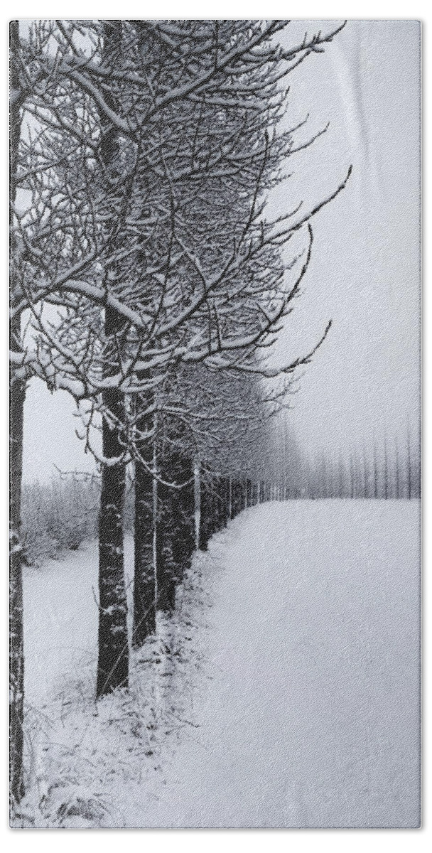 Line Bath Towel featuring the photograph Winter Tree Line by David Soldano