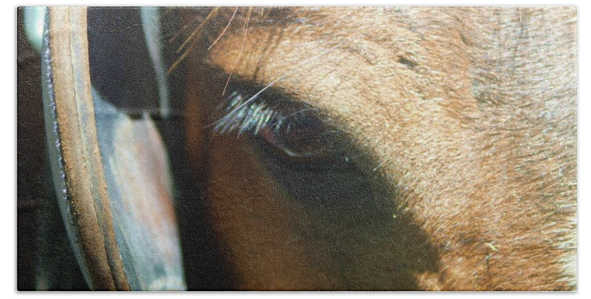 Horse Hand Towel featuring the photograph Wise Eye by Fred Bailey