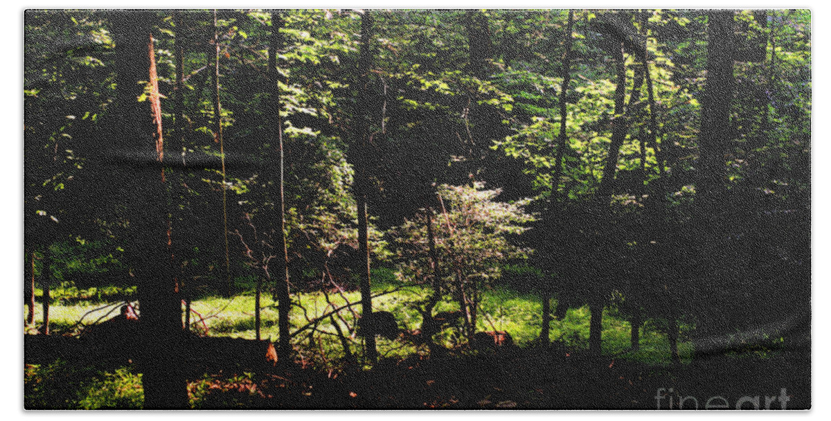 Forest Hand Towel featuring the photograph Woodland Calm - No. 17 by Steve Ember