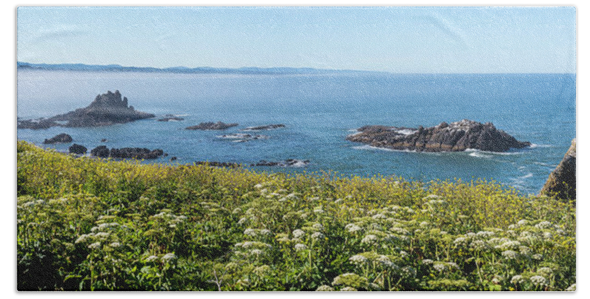 Blooms Hand Towel featuring the photograph Yaquina South by Robert Potts