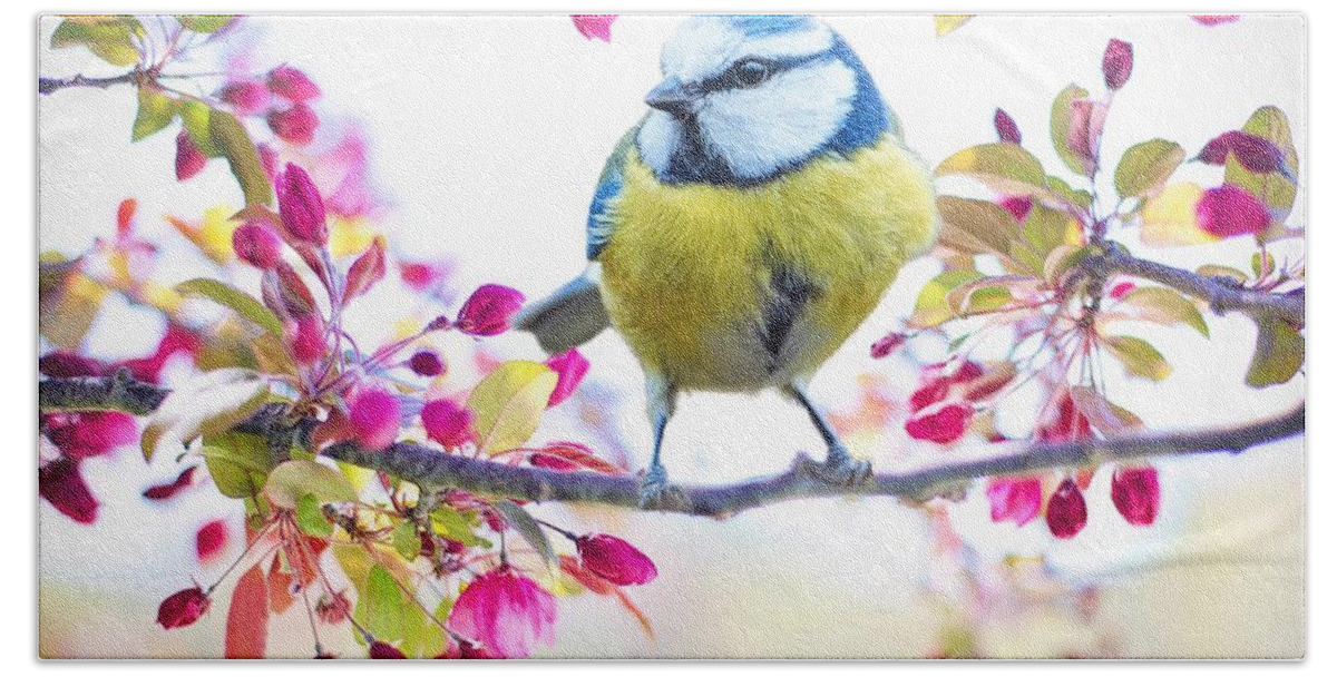 Bird Hand Towel featuring the photograph Yellow blue bird with flowers by Top Wallpapers