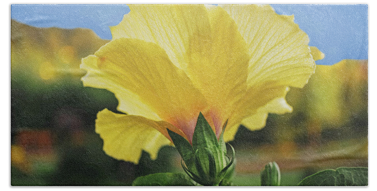 Outdoors Bath Towel featuring the photograph Yellow Hibiscus by Silvia Marcoschamer
