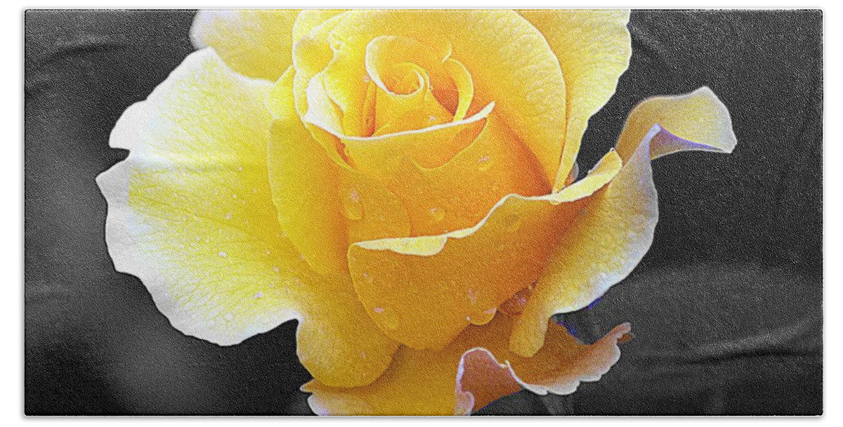 Art Hand Towel featuring the photograph Yellow Rose II on Black by Joan Han