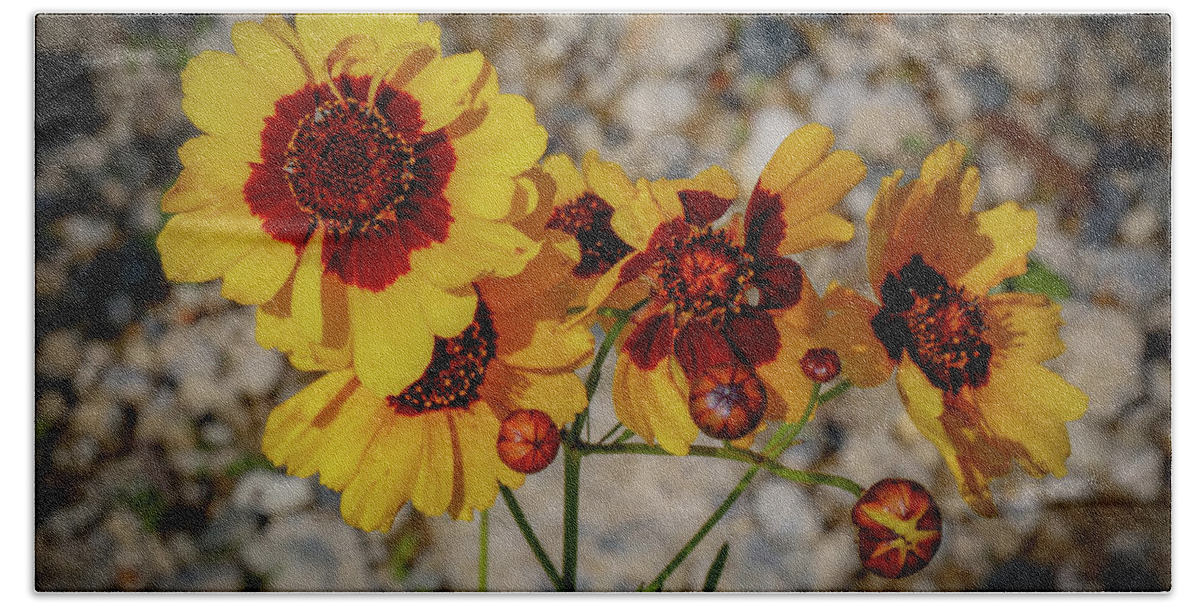 Flowers Bath Towel featuring the photograph Yellow Wildflowers by Lora J Wilson