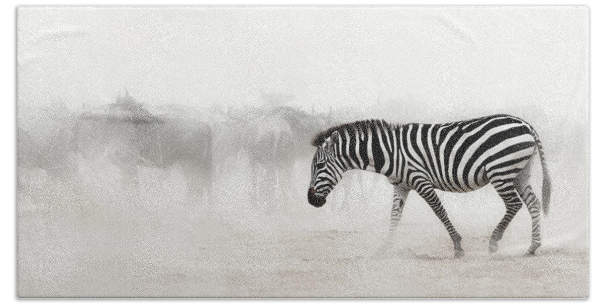 Zebra Hand Towel featuring the photograph Stand Out From The Crowd #1 by Good Focused