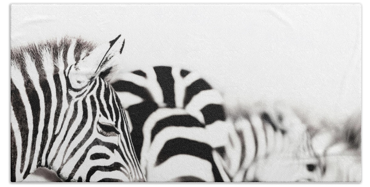 Portrait Hand Towel featuring the photograph Zebras black and white by Jane Rix
