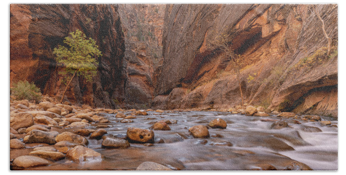Zion Hand Towel featuring the photograph Zion Canyon by Arthur Oleary