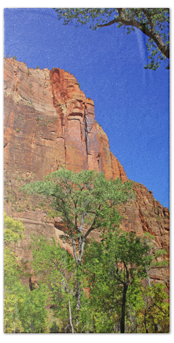 Zion Mountain R9idge Red Rocks Trees Of Green Blue Sky Too 6421 Hand Towel featuring the photograph Zion mountain r9idge red rocks trees of green blue sky too 6421 by David Frederick
