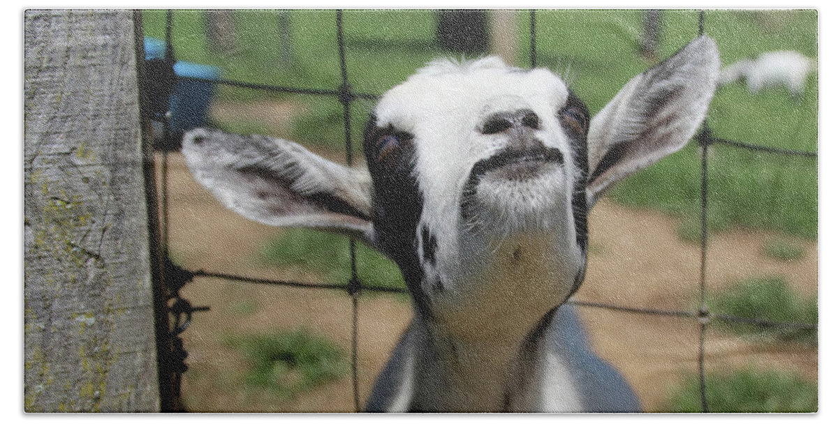 Goat Hand Towel featuring the photograph A Goat's Smile #1 by Demetrai Johnson