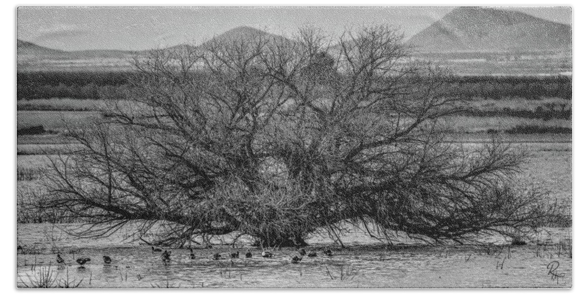 Fine Art Bath Towel featuring the photograph A Tree At Whitewater Draw Monochrome by Robert Harris