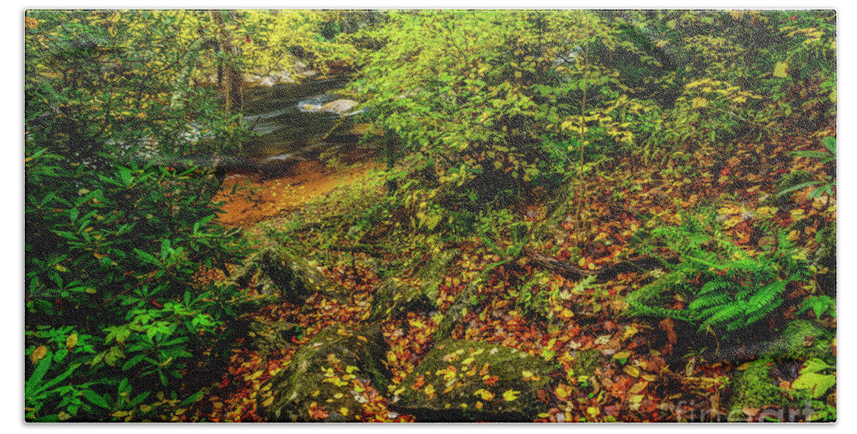Cranberry River Bath Towel featuring the photograph Autumn Rain Cranberry River #1 by Thomas R Fletcher
