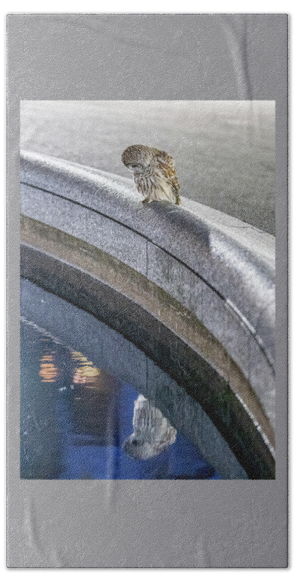 Wildlife Hand Towel featuring the photograph Barry the Central Park Barred Owl with Her Reflection - Frame 3/3 by David Lei