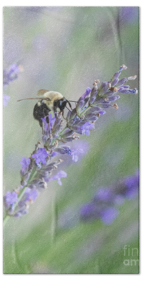 Lavender Bath Towel featuring the photograph Bee on Lavender II #1 by Lorraine Cosgrove