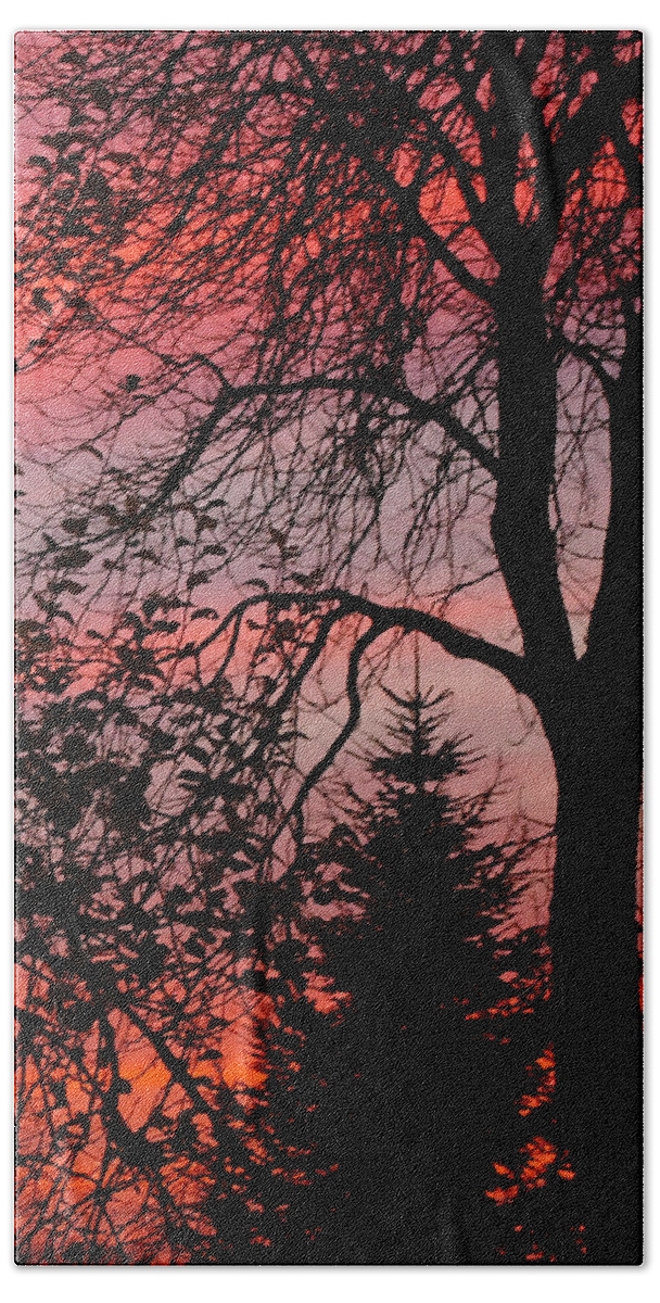 Sun Bath Towel featuring the mixed media Beyond The Tree #1 by Marvin Blaine
