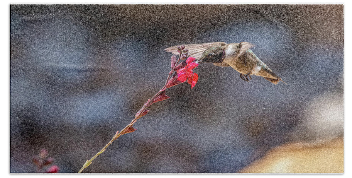 Birds Bath Towel featuring the photograph Black-chinned Hummingbird by Frank Madia