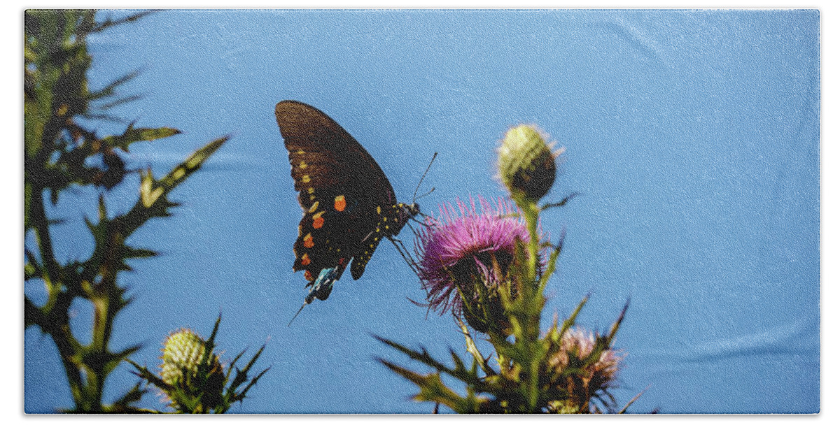 Butterfly Bath Towel featuring the photograph Butterfly by David Beechum