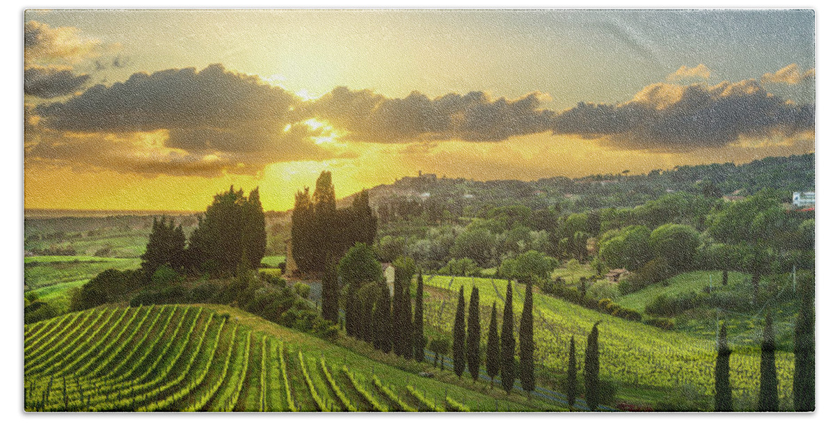Casale Hand Towel featuring the photograph Vineyards in Alta Maremma at Sunset by Stefano Orazzini