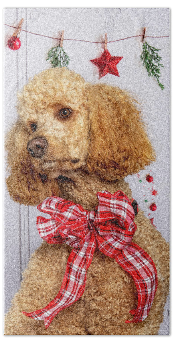 Standard Poodle Bath Towel featuring the photograph Chester 5 #2 by Rebecca Cozart