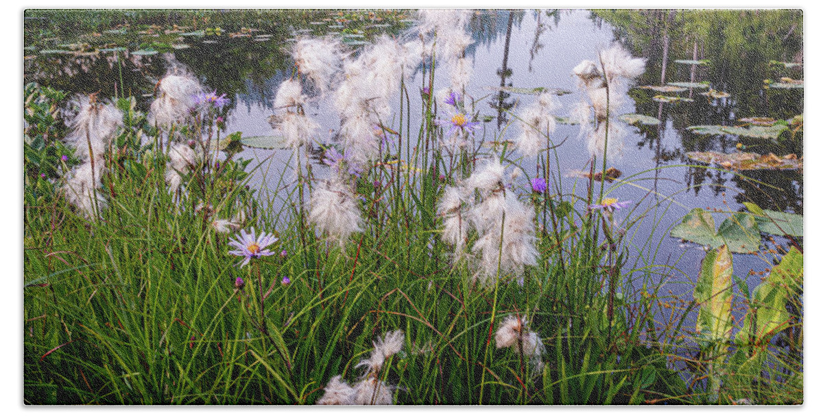 Flowers Hand Towel featuring the photograph Cotton Grass #1 by Claude Dalley