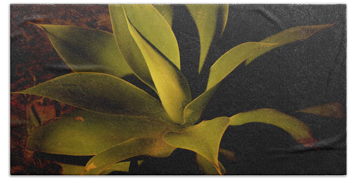 Artificial Light Bath Towel featuring the photograph Courtyard Agave at Night #1 by James Covello