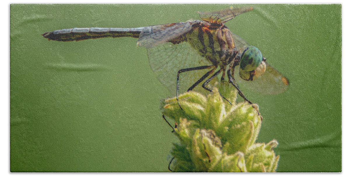 Insect Bath Towel featuring the photograph Dragon Fly #1 by Cathy Kovarik