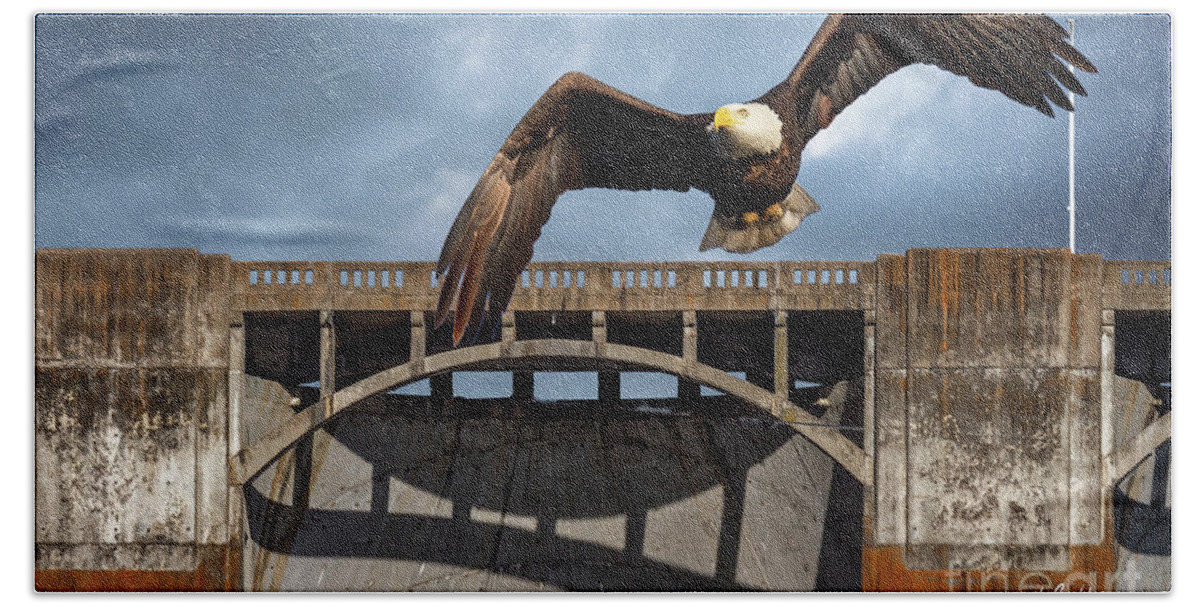 Eagle Bath Towel featuring the photograph Eagle at the Dam #1 by David Wagenblatt