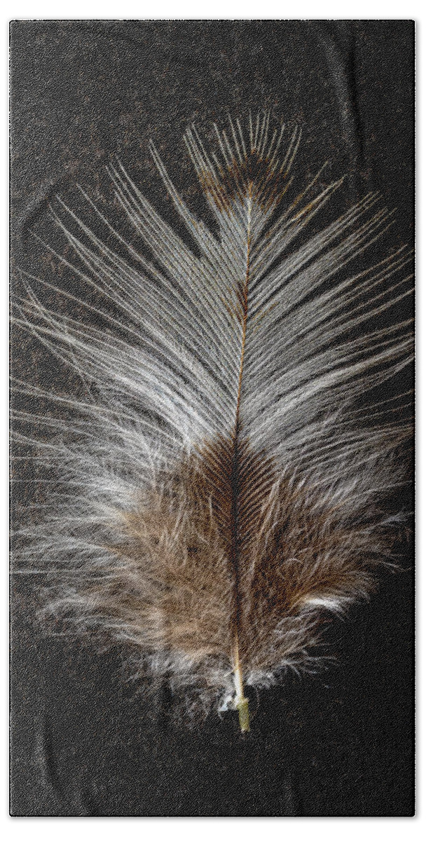 Feather Hand Towel featuring the photograph Feather #1 by Christopher Johnson