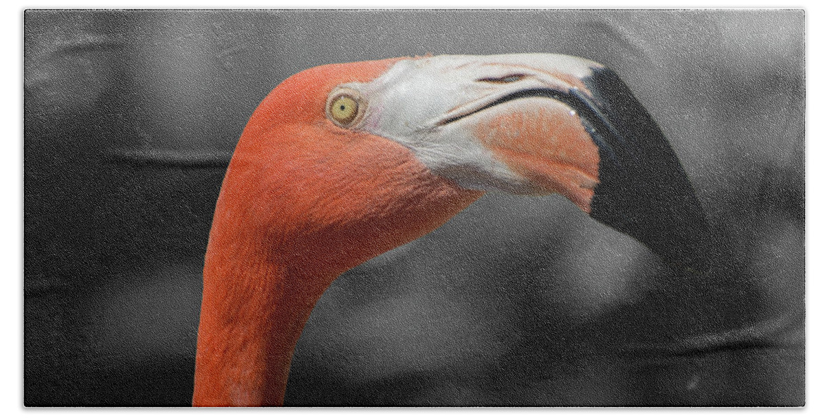 Flamingo Hand Towel featuring the photograph Flamingo #2 by Carolyn Hutchins