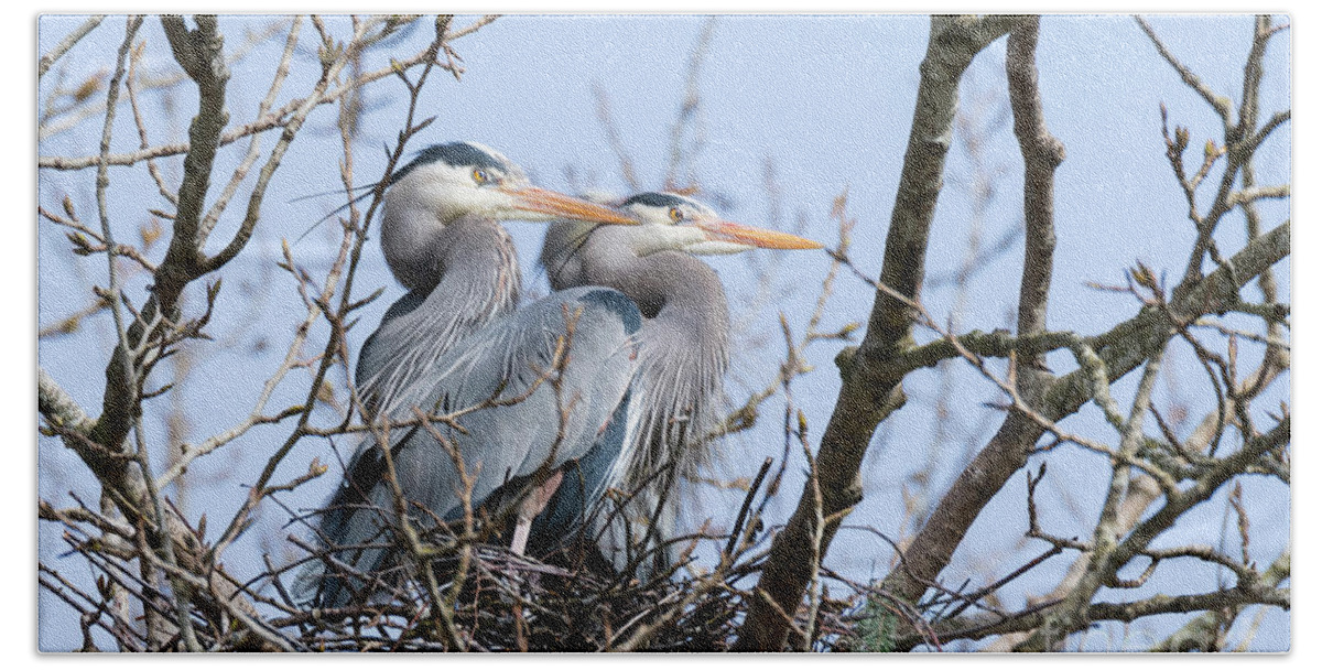 Kmaphoto Hand Towel featuring the photograph Heron Love #1 by Kristine Anderson