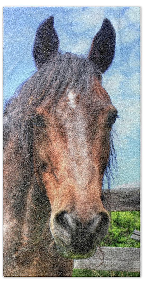 Horses Bath Towel featuring the photograph Horse Head #1 by Jim Sauchyn