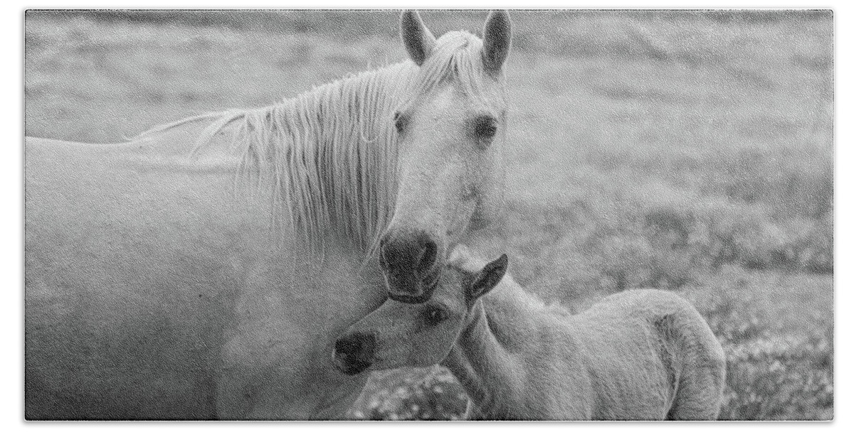 Horse Bath Towel featuring the photograph Hugging momma #1 by Jamie Tyler