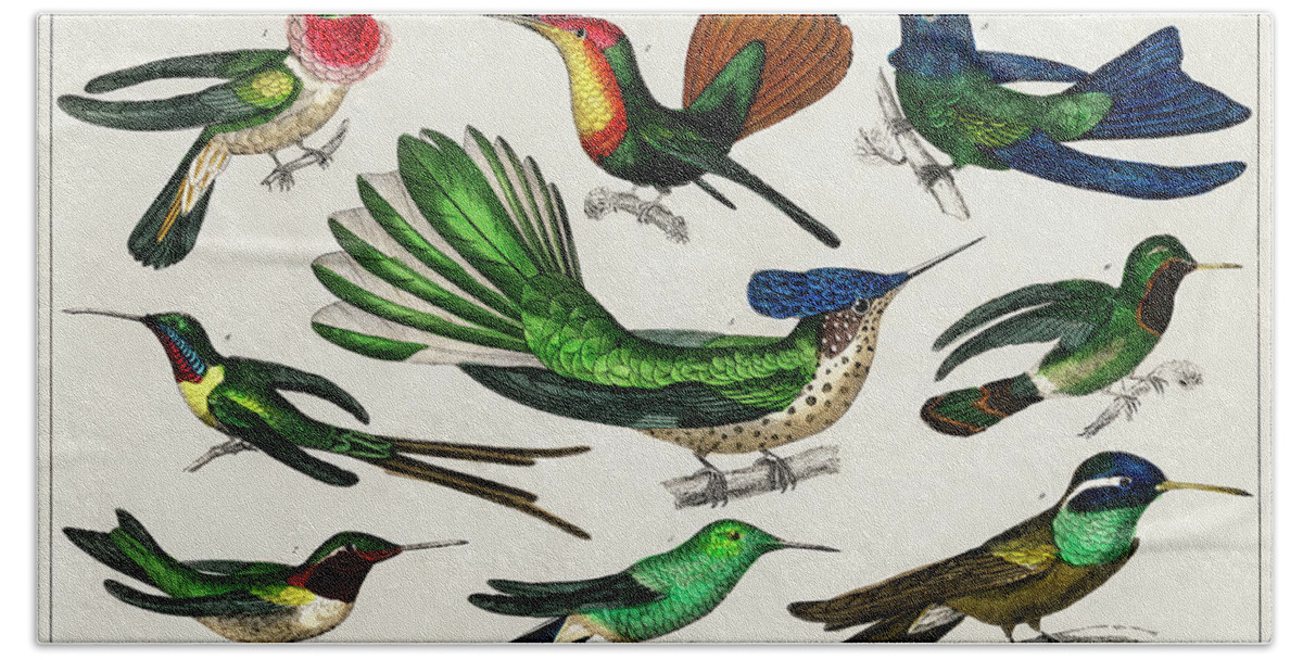 Hummingbirds Bath Towel featuring the mixed media Hummingbirds #1 by World Art Collective
