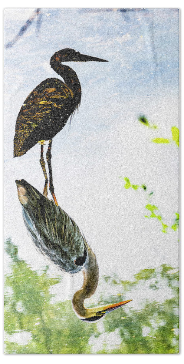 Bronx River Bath Towel featuring the photograph Inverted Blue Heron #1 by Kevin Suttlehan