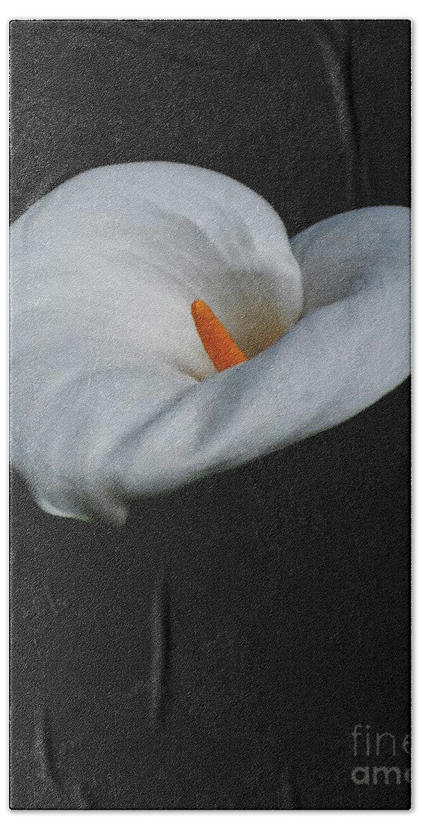 Lily Bath Towel featuring the photograph Lily #1 by Jimmy Chuck Smith