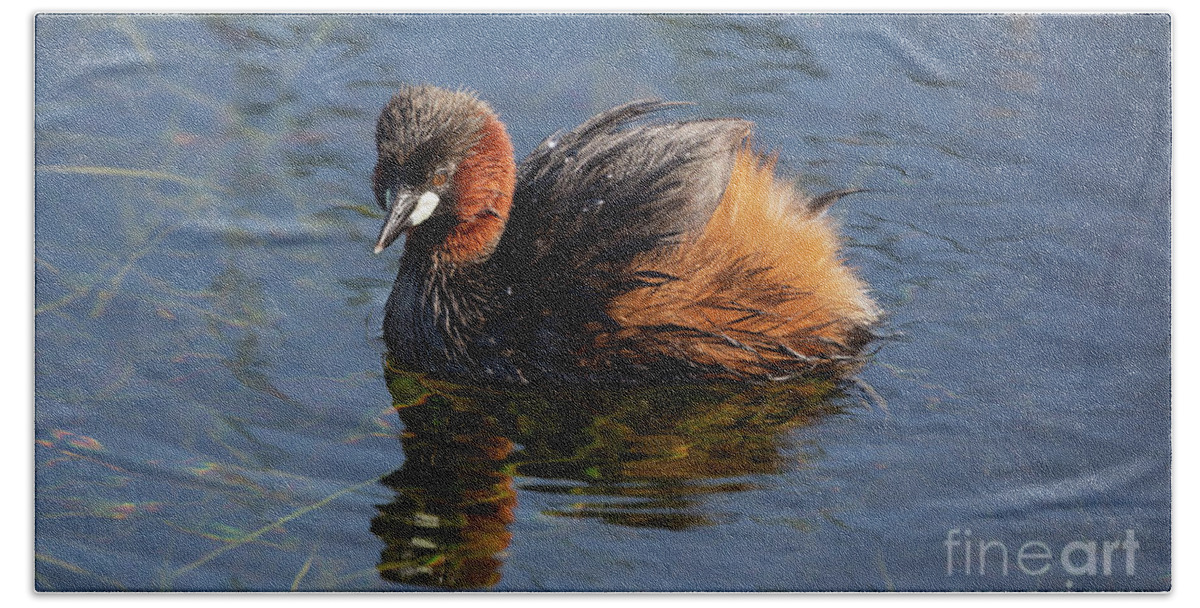 Little Grebe Hand Towel featuring the photograph Little Grebe #1 by Eva Lechner