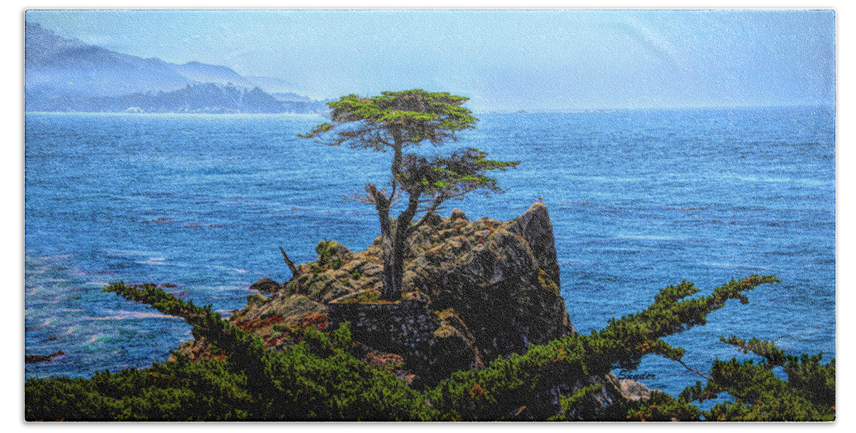Lone Cypress Hand Towel featuring the photograph Lone Cypress After The Storm #1 by Barbara Snyder