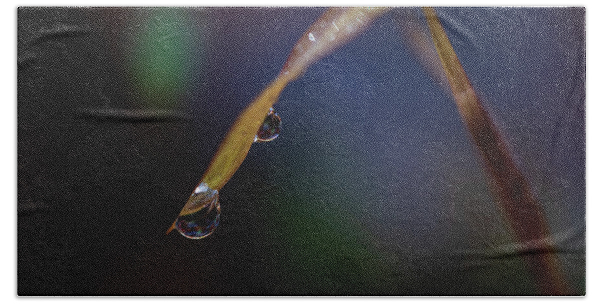 Fall Bath Towel featuring the photograph Macro Photography - Water Drops on Grass by Amelia Pearn