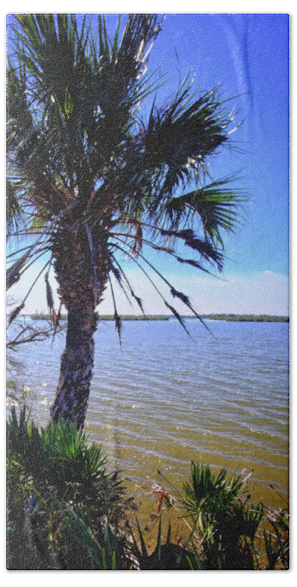 Lagoon Bath Towel featuring the photograph Mosquito Lagoon #1 by George Taylor