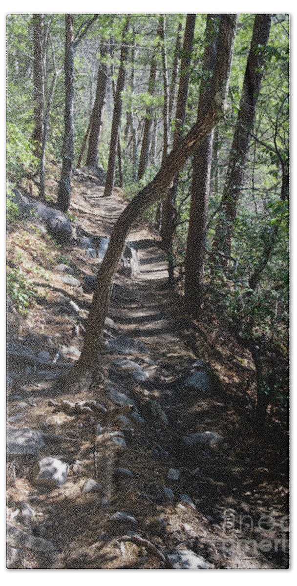 Tennessee Bath Towel featuring the photograph On the Trail by Phil Perkins