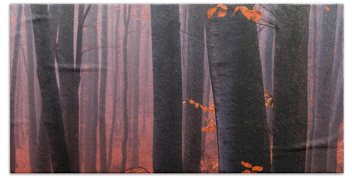 Mountain Hand Towel featuring the photograph Orange Wood by Evgeni Dinev